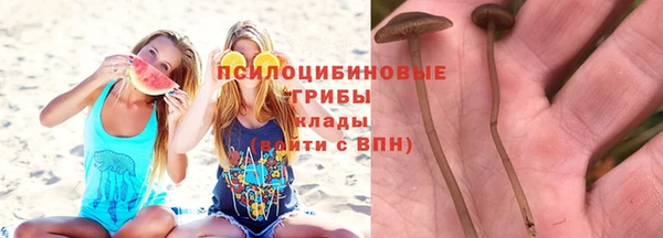 мдпв Киренск