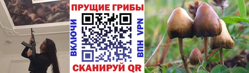 Купить закладки  Ивангород  Галлюциногенные грибы прущие грибы 